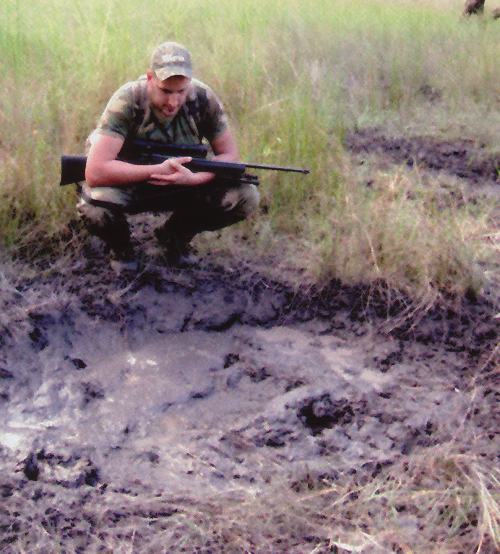 Checking a fresh wallow