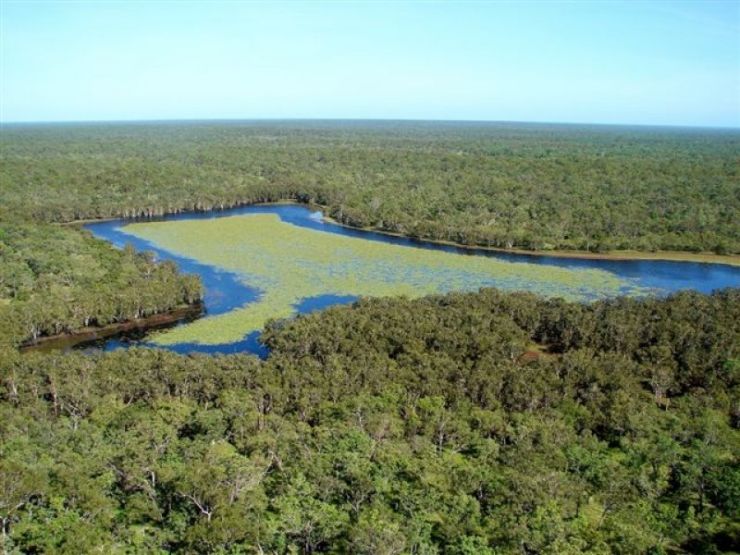 Rock Lagoon covered in waterlillies - Click for enlargement