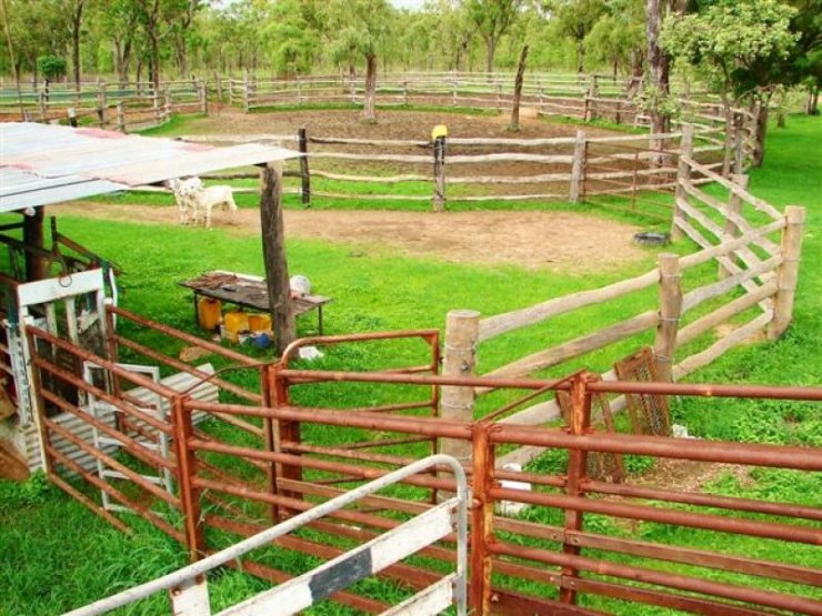 Cattle Yards 